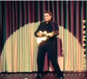 ELVIS PRESLEY blue suede shoes color .JPG
